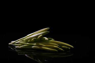 Similar image 7838441