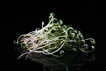 Similar image 7838443