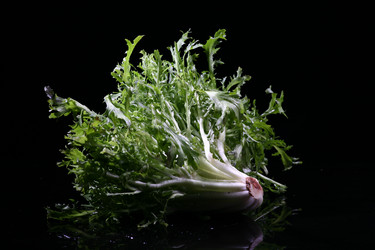 Similar image 7838444