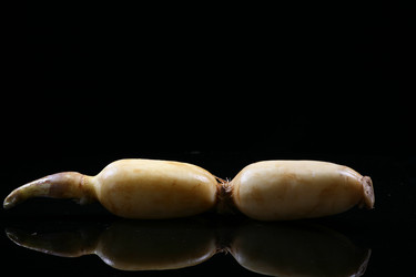 Similar image 7838447