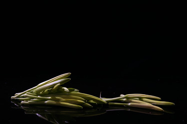 Similar image 7838448