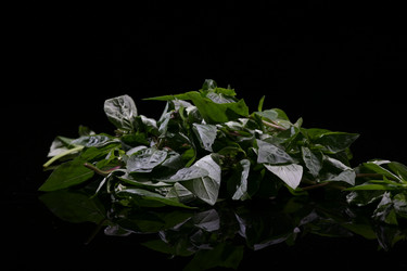 Similar image 7838460