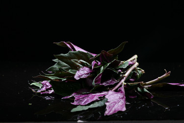 Similar image 7838464