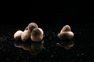 Similar image 7838465