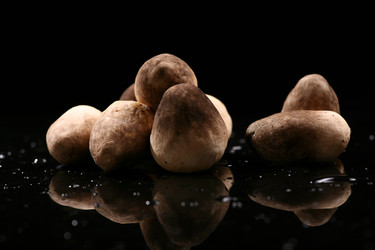 Similar image 7838466