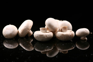 Similar image 7838467