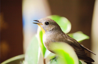 Similar image 7838471