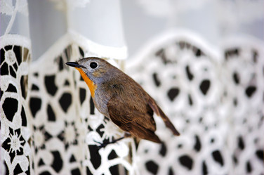 Similar image 7838472