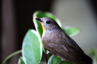 Similar image 7838474