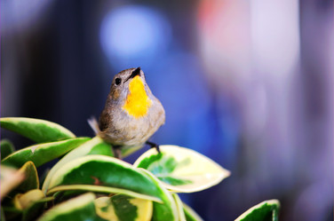 Similar image 7838478