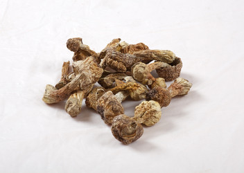 Similar image 7838481