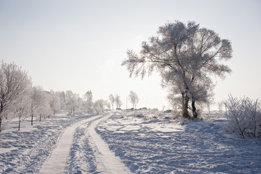 Similar image 7838489