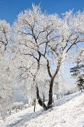 Similar image 7838490