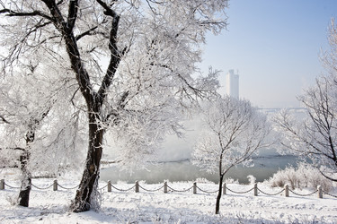 Similar image 7838491