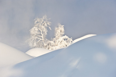 Similar image 7838494