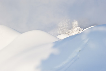 Similar image 7838495