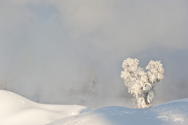 Similar image 7838496