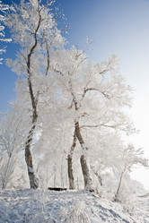 Similar image 7838499