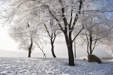 Similar image 7838501