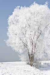 Similar image 7838502