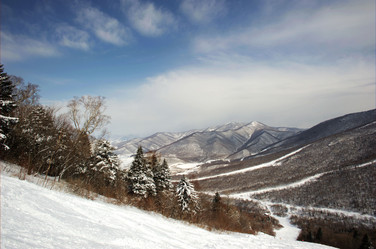 Similar image 7838505