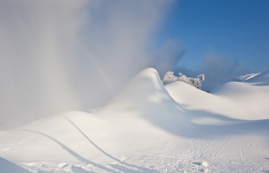 Similar image 7838509