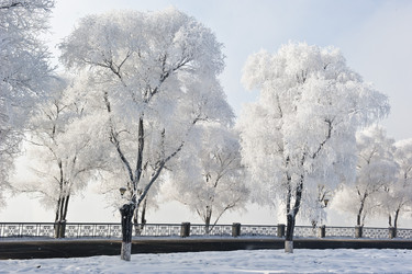 Similar image 7838510