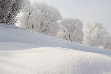 Similar image 7838511