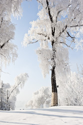 Similar image 7838513