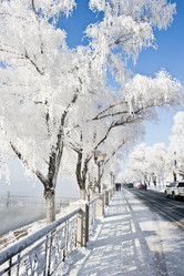 Similar image 7838514