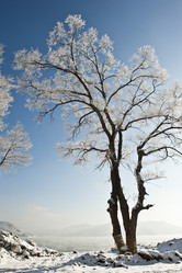 Similar image 7838515