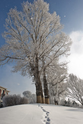 Similar image 7838518