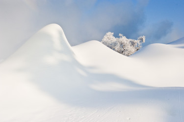 Similar image 7838520