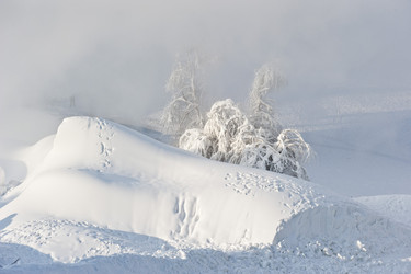 Similar image 7838522