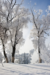 Similar image 7838524