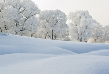 Similar image 7838525