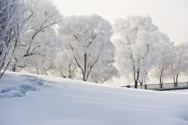 Similar image 7838526