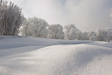 Similar image 7838527