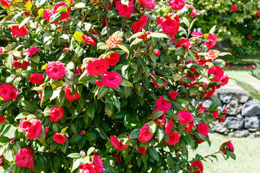 Similar image 7838880