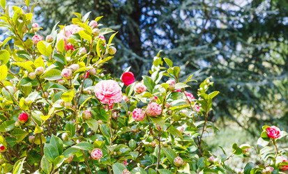 Similar image 7838883