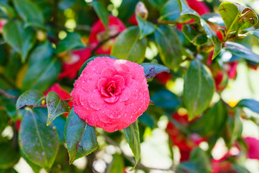 Similar image 7838885