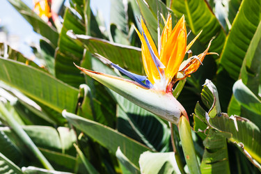 Similar image 7838887