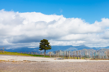 Similar image 7838899