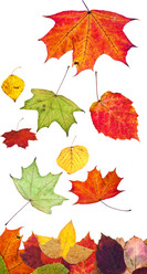 Similar image 7839001