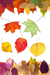 Similar image 7839016