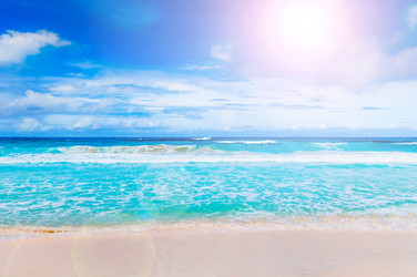 Similar image 7839022