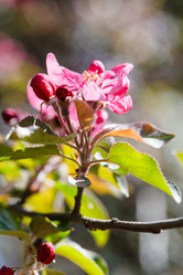 Similar image 7839104