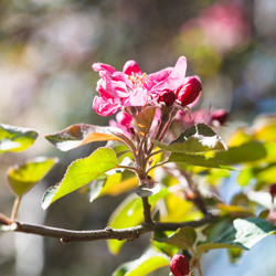 Similar image 7839113