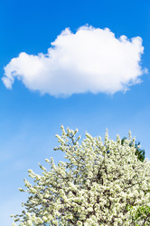 Similar image 7839115