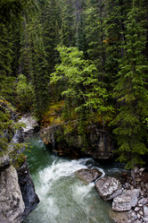 Similar image 7839378